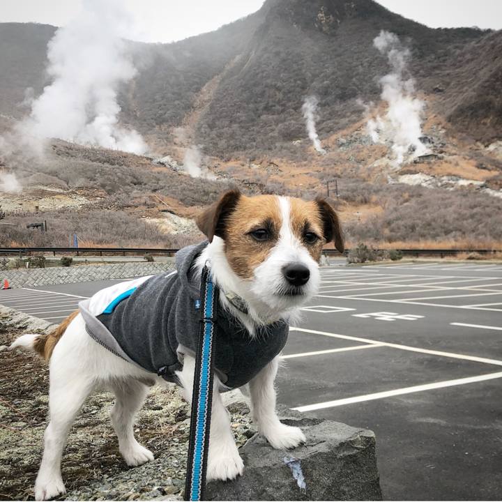 9a7d4df1 3e46 4049 9ea0 722c80bc0856 1512396516247