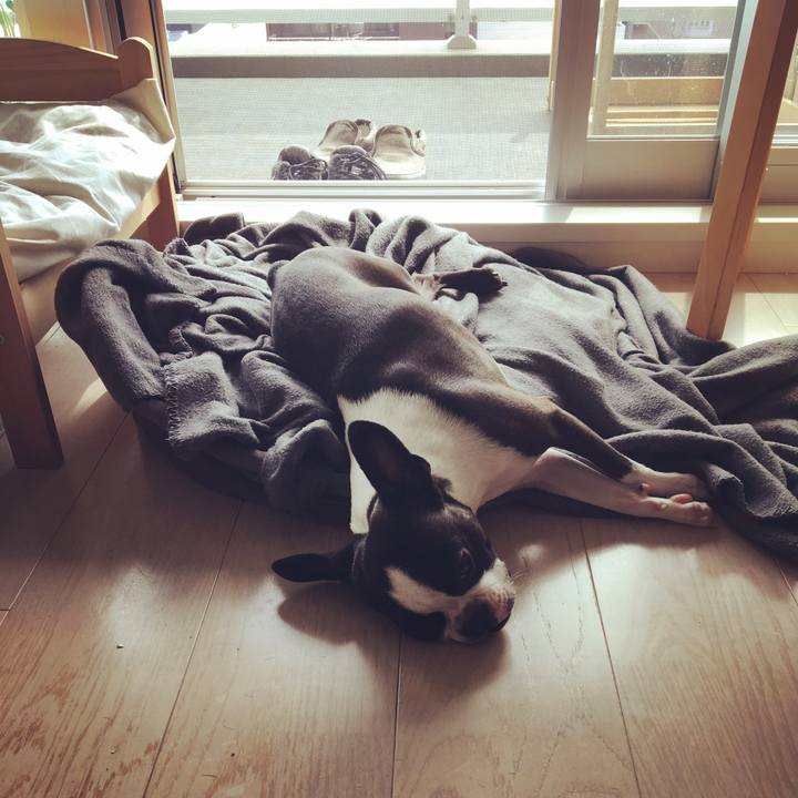 9a7d66da 6474 43d1 940a a19873ade40f 1541663729355