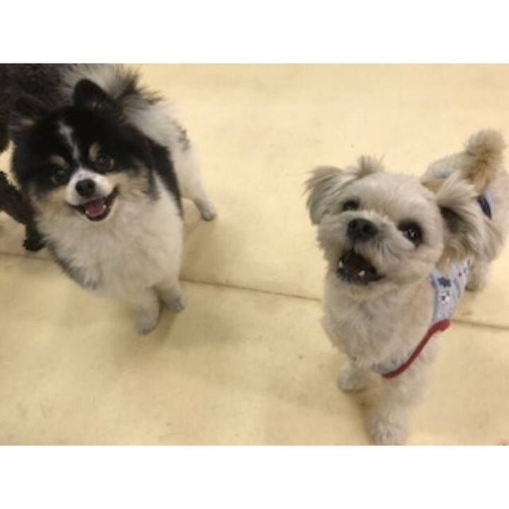 9a7da52f 4d01 441e 9fd0 80ae9c6df8e9 1519036909195