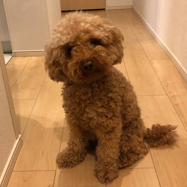 9a7da6fe 5020 4372 93e0 30ea2a9e72a1 1729676809424