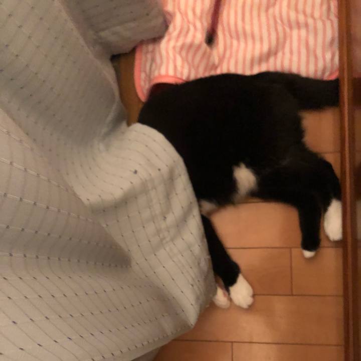 9a7dc055 e9a5 42cf 9ea3 67a258f20148 1534974954861