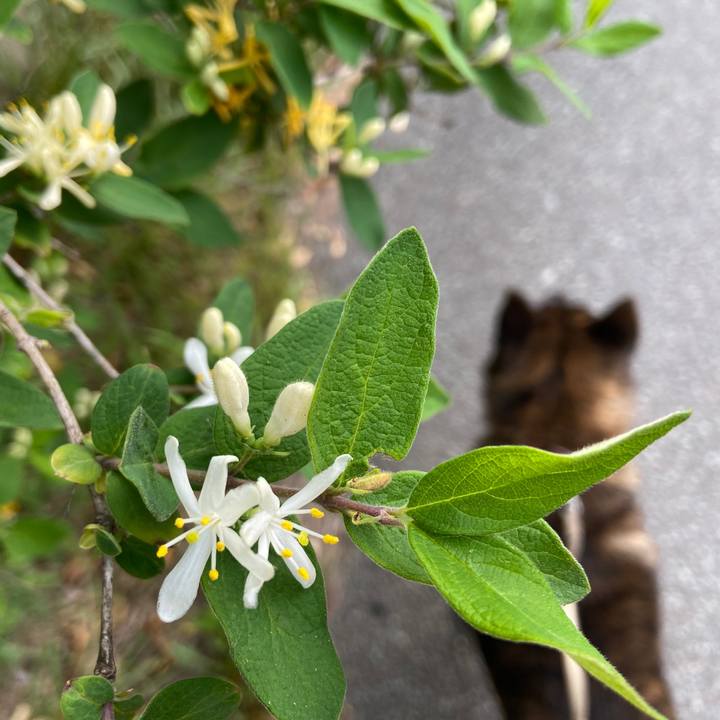 9a7dcd17 6faf 47a5 bc45 3aef9c60c4cf 1588464211116