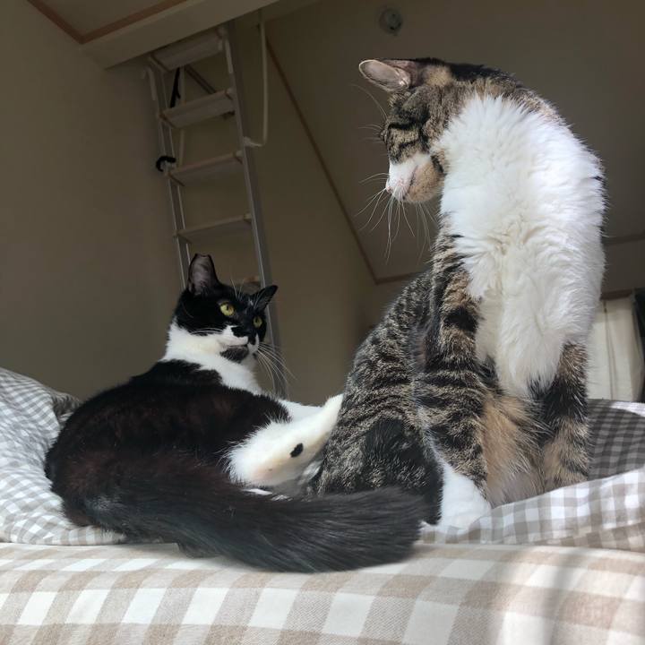 9a7dd70f d4f5 445e 8ca4 b210b9153963 1552161896203