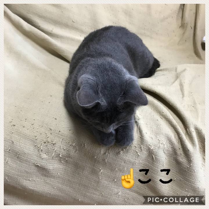 9a7e07cf 74af 4be1 a22e b7677b6b6c55 1522363271575