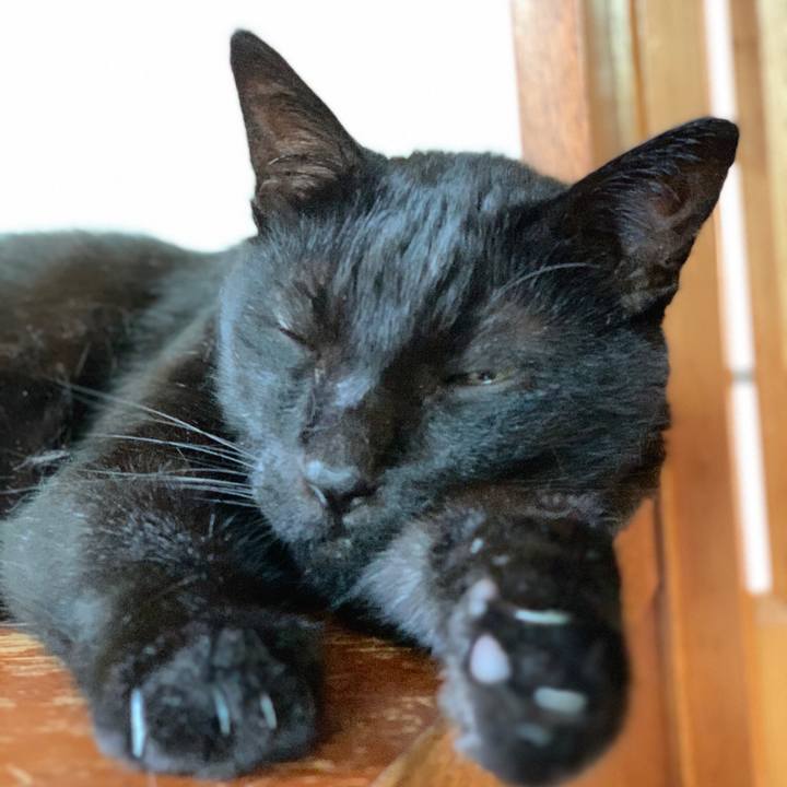 9a7e11eb 2bcd 44d7 869c 5c0f70c91507 1598232596731