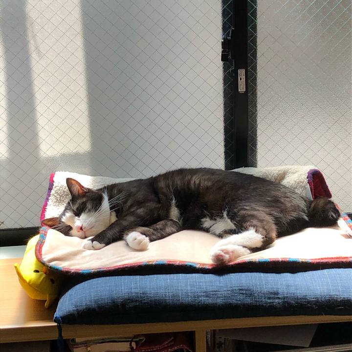 9a7e21df de08 4c0a 88d9 64d2aa0af244 1588394236430