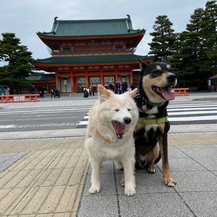 9a7e3731 13d3 4749 b7c5 9fe2a4b716e6 1679460803926