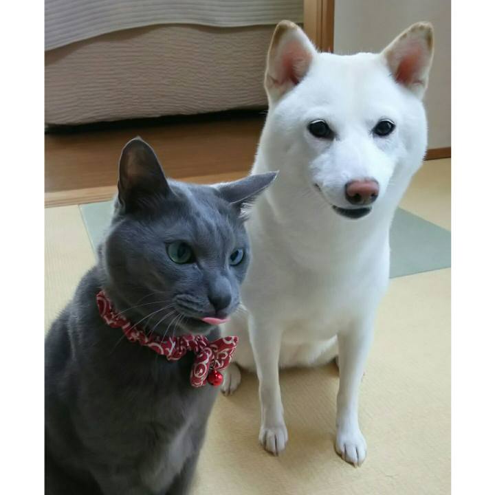 9a7e3f88 9f91 4da0 a99e 2892703cf3d2 1533084286134