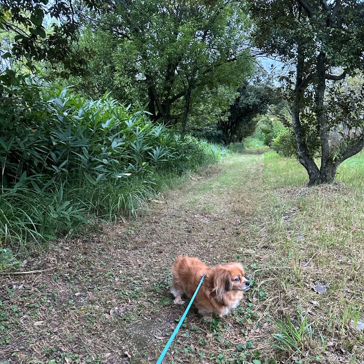 9a7e5d40 f038 4d5e a768 e3328e814e9a 1693947267085