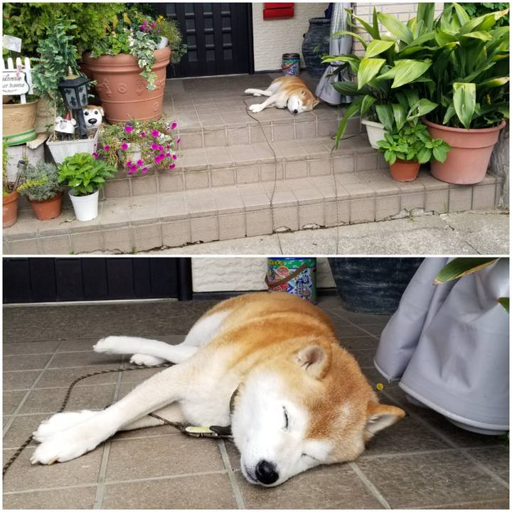 9a7e906b 0265 43b2 bb78 0d96381b5cee 1696394332977