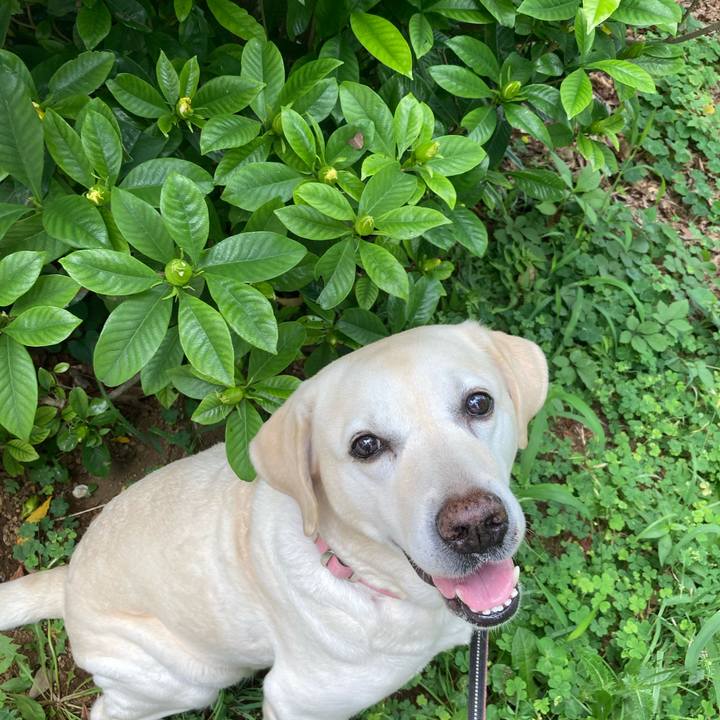 9a7e93a7 6c4e 49d0 a752 5d336a0e2de5 1751332655652