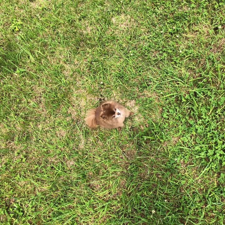 9a7ea244 c35d 408d a790 580fd51c2110 1594440500348