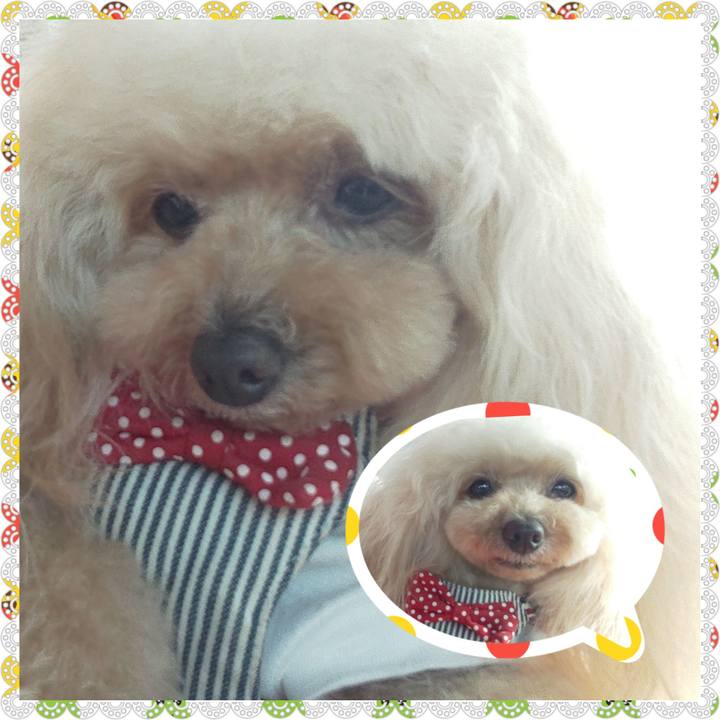 9a7ed46f 3747 4a5b 8524 85b9973256e7 1653639510478