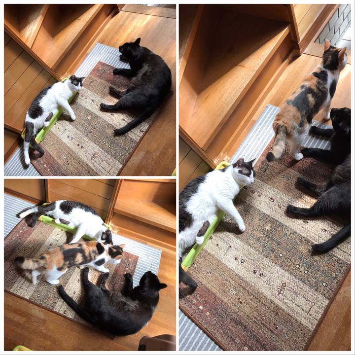 9a7f13ea b538 48d8 bc20 345e83dd3d76 1529460457906