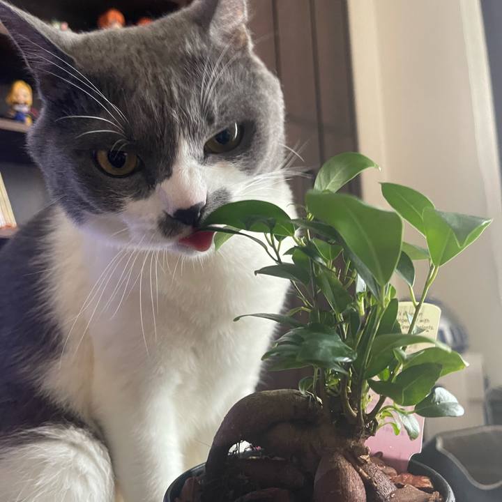 9a7f1c73 aa86 4411 8dee a2271c9c35c7 1694496168184