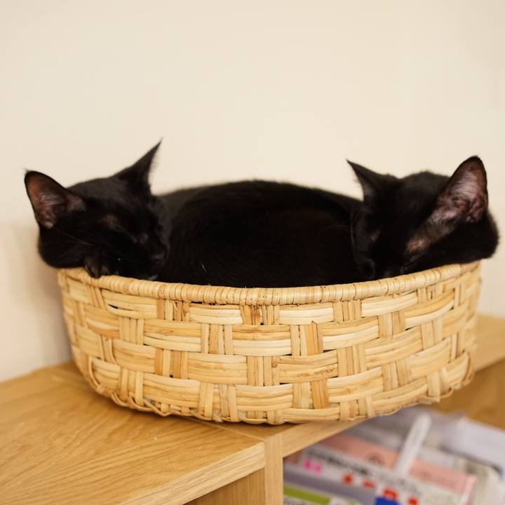 9a7f3f8c 790a 4768 b3f4 e503b82c65f9 1548211398155