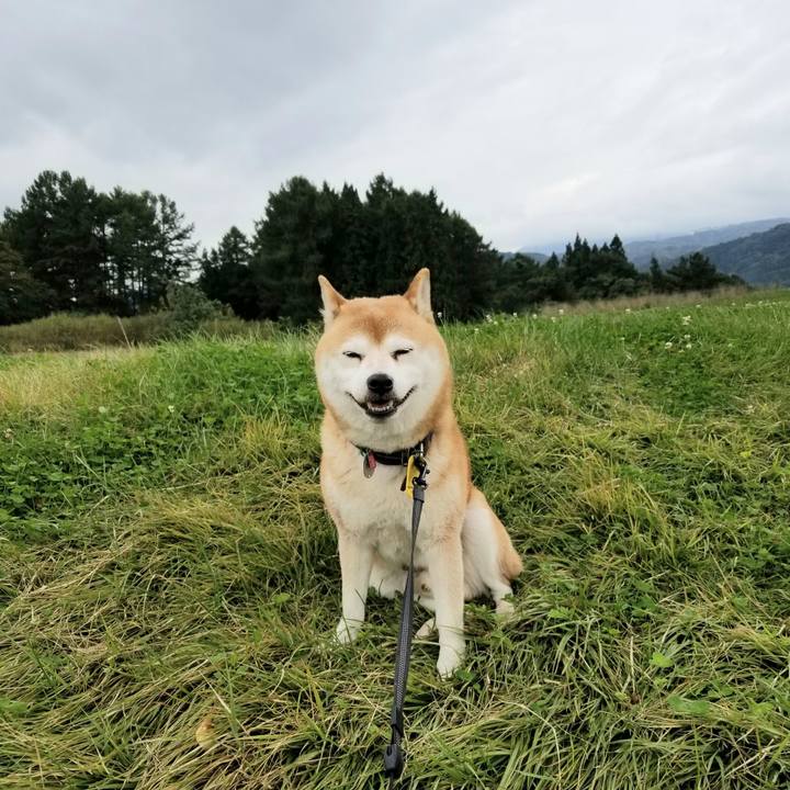 9a7f54cc a1a3 4dc8 8c7b 76bb855868cb 1602654272853