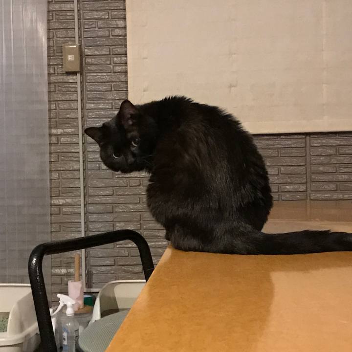 9a7f96cd bdf2 4a4b b3c9 6c75ebcc90a7 1608183436130