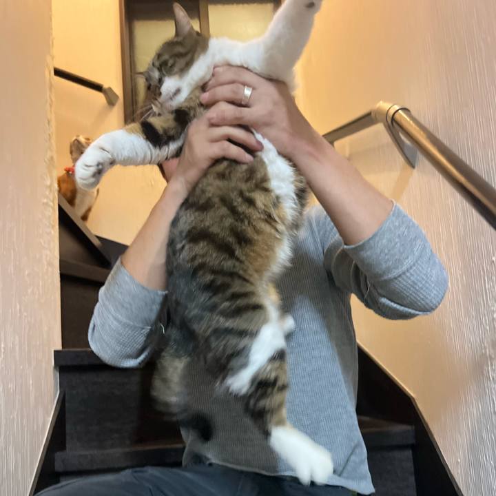 9a7fbe9f a14c 4b83 8f92 f917ec1c17fd 1772706952581