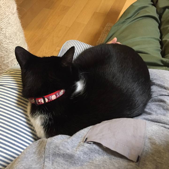 9a801565 4280 4222 aeb5 5eaf933d4683 1540284037841