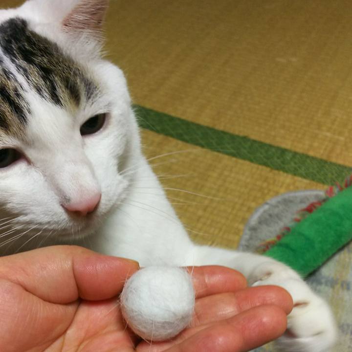 9a801946 fff2 4900 8877 28c421d8a084 1529362002255