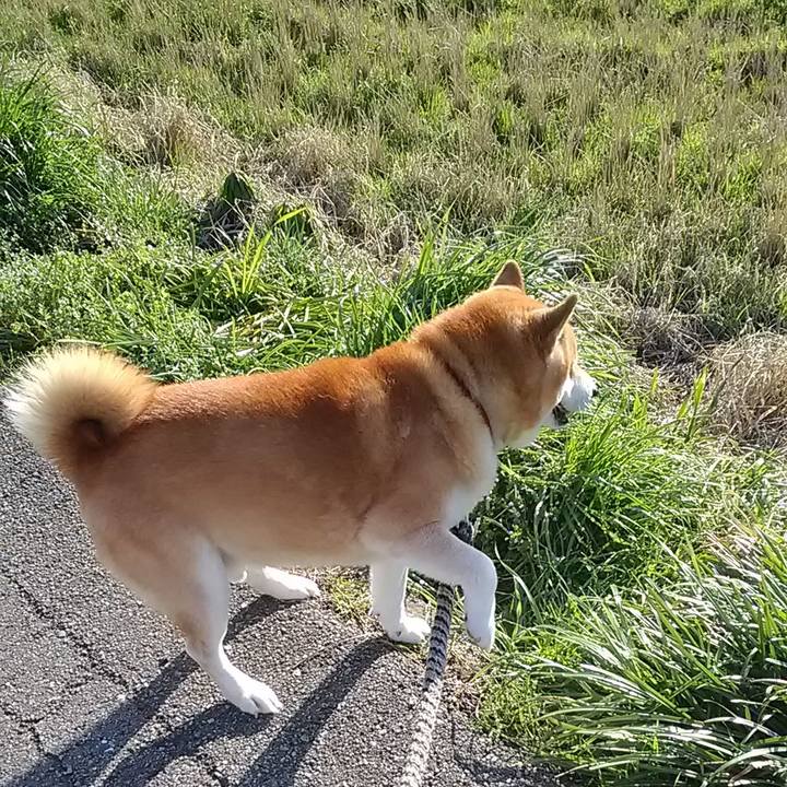 9a801ab6 da34 4277 b2a4 3227af979095 1709026640573