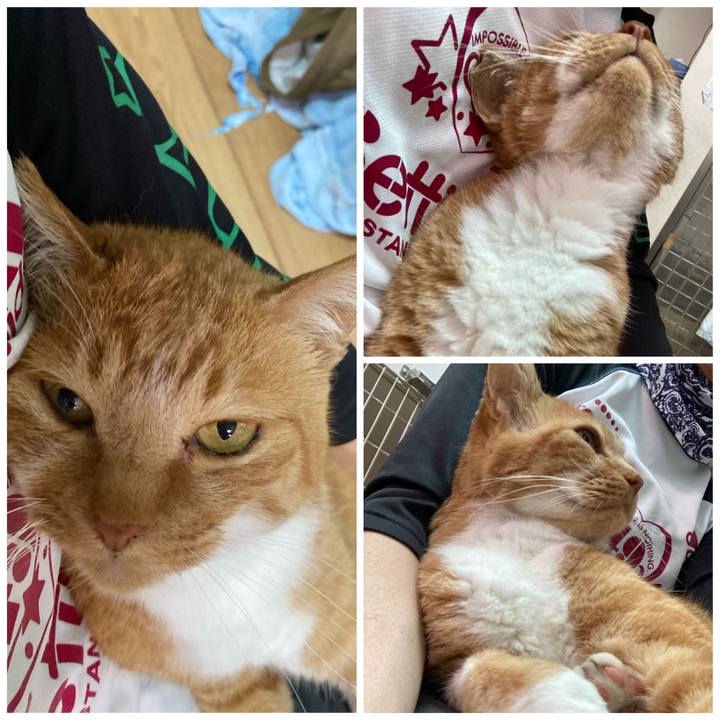 9a802df0 84d8 461d b26b 1ba0ed004f94 1685164621082