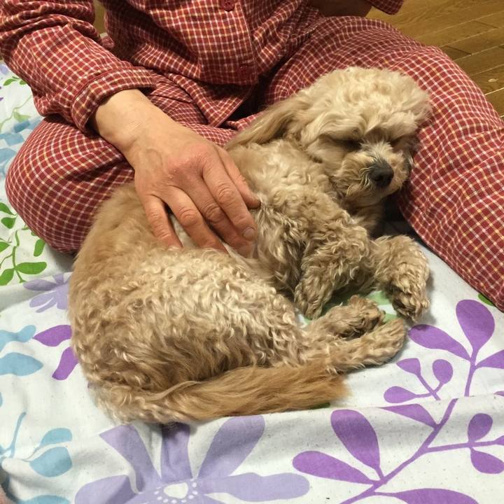 9a80384a 75b7 4d47 8904 adde4819d345 1523806691430