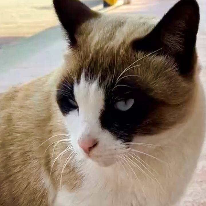 9a8046e3 4aeb 49f0 ba26 be2c9fdf366a 1740554645190