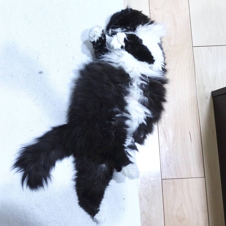 9a80488e 2731 41de bed0 0b606b15684d 1518540557846