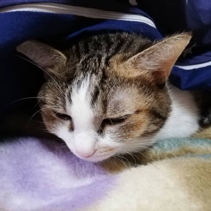 9a80a07f 6318 4b07 9e2c 2f266479ba2d 1701124946384