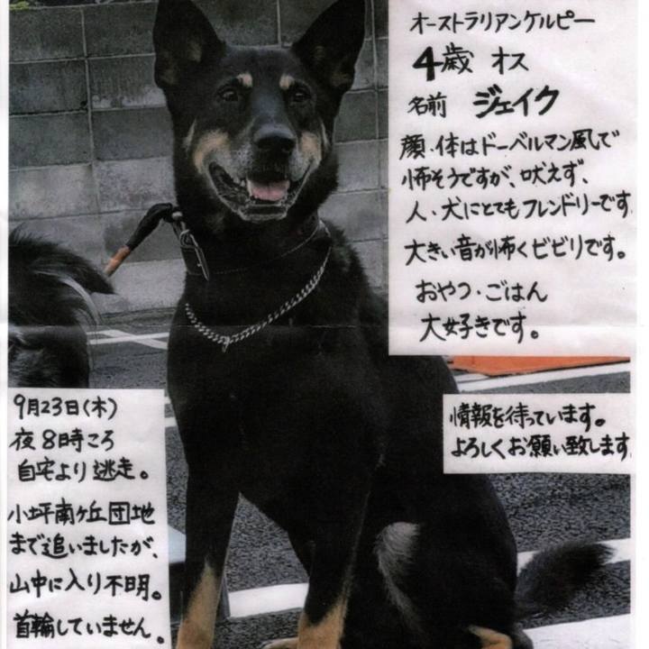 9a80df7d 164e 477f a8d4 9a7d3e7a7491 1632829156130