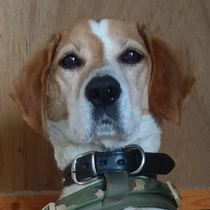 9a810524 21cf 4cd7 80f7 7cedcc7790d5 1714137370235