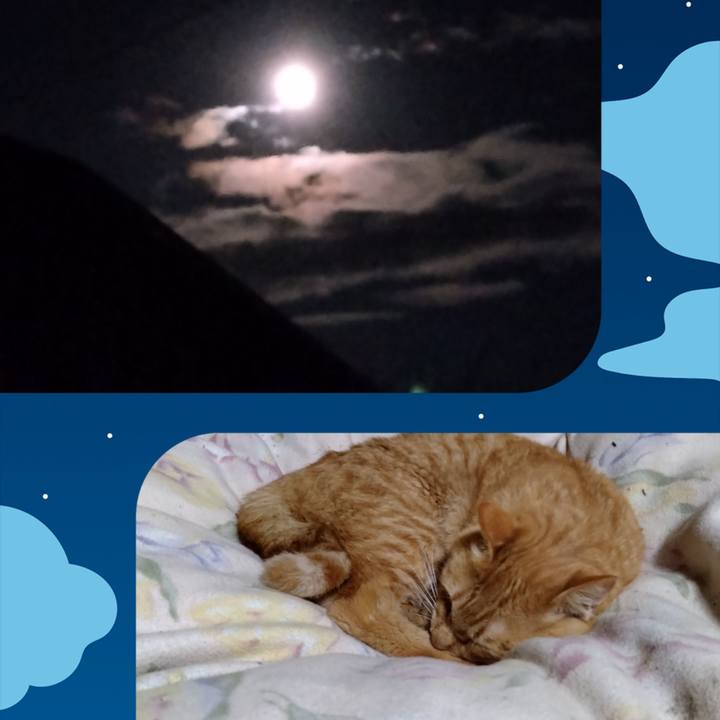 9a8129cc 06ee 4940 9fd5 f360c9ad7aac 1670590882294