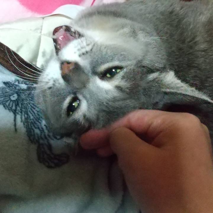 9a813671 ea27 4412 9d9d 32113dfce2fe 1642770559929