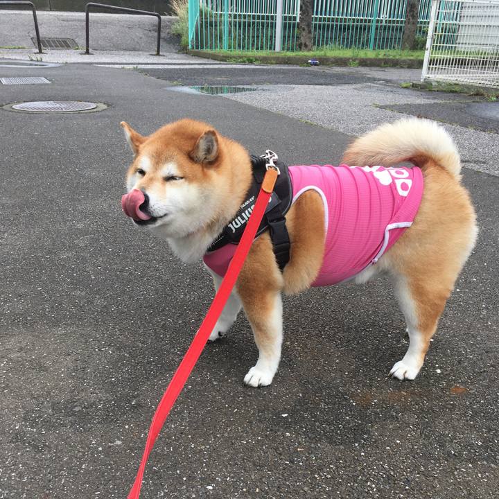 9a813dce 75df 4fac be8b a4f4c734e2e0 1594008159056