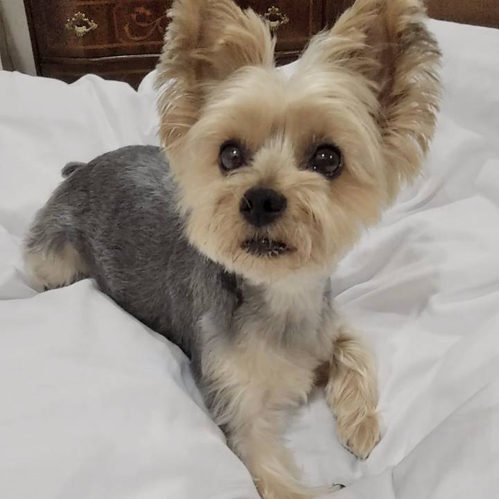 9a8157b6 4fa9 4649 95ab 20562a04d584 1687783122712