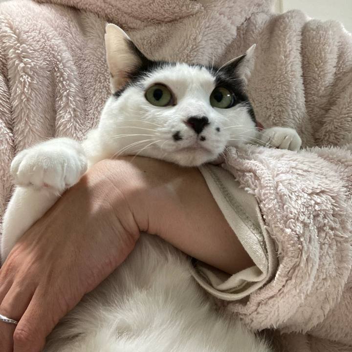 9a81a0cf 3a6b 40e6 bc7e 00f25beb1ac5 1769028765616