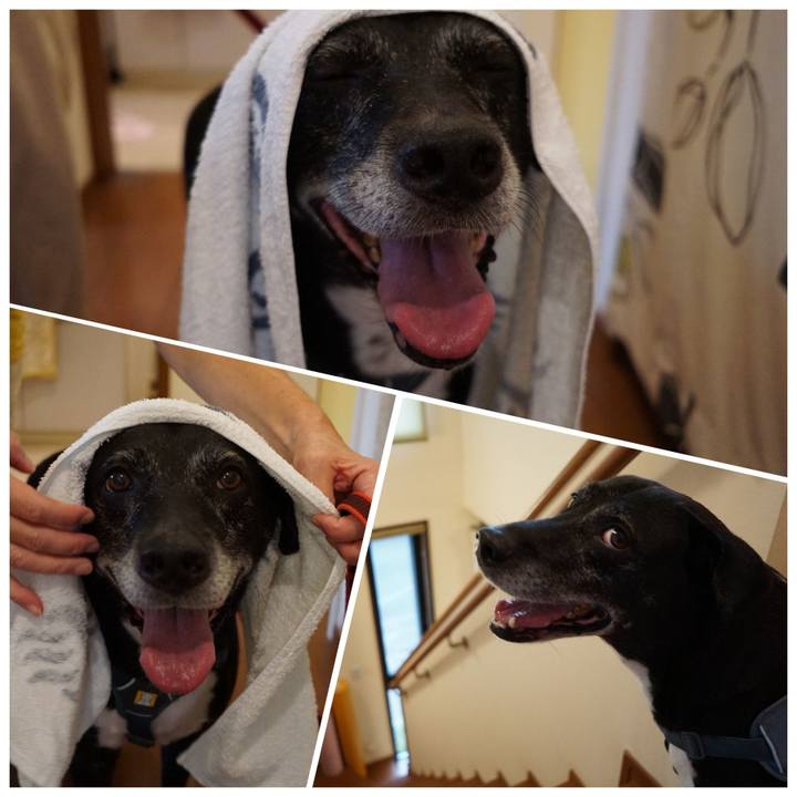 9a81ae00 71d0 493b 8e8d 0cc9f4ef67f6 1758539175738