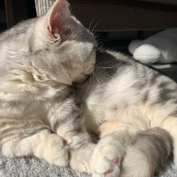 9a81b087 4ca3 4541 ac8c c3850675af2d 1709425358258