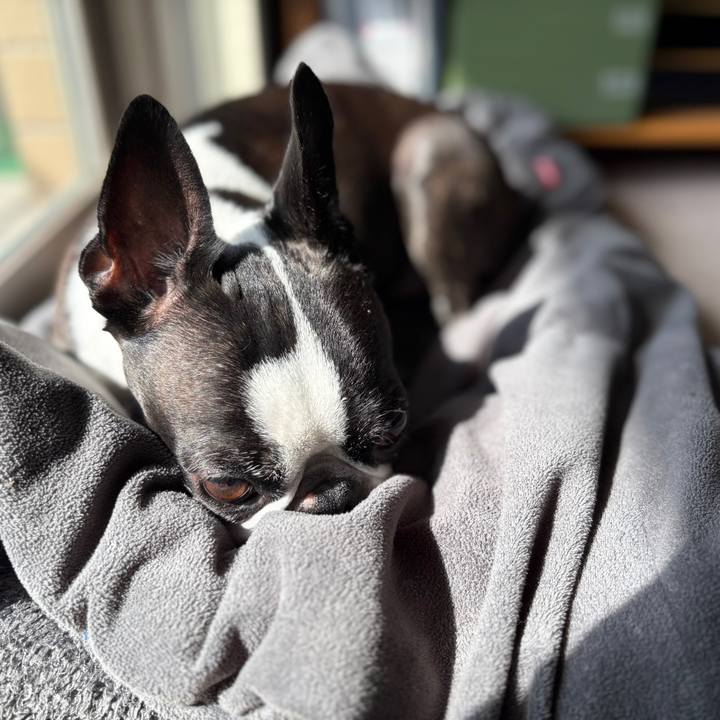 9a81c9e6 2131 4060 b060 d8909b5d771f 1758327908975