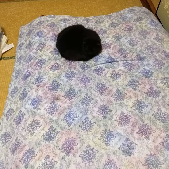 9a81dc44 2a4f 436e af38 7522ff84ace9 1521721734599