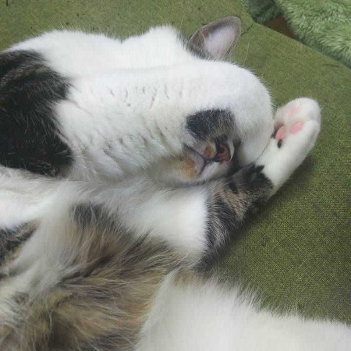 9a823aa3 cc92 42a4 a75e d13b89771449 1655190646797