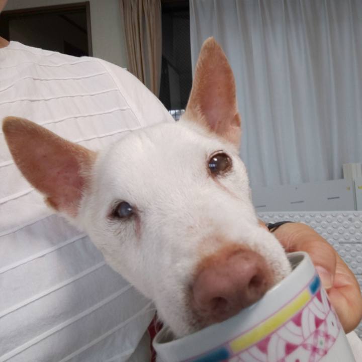 9a8267eb a6b3 44fa 81f9 217766e084d0 1563316469383