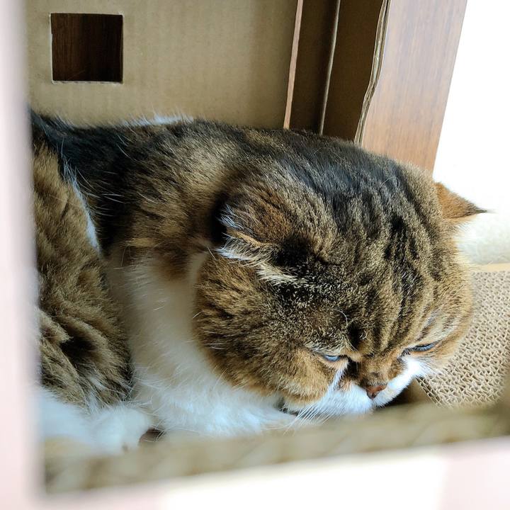 9a828d08 6fdb 4a47 8b9b f2057bbc653c 1588652327591