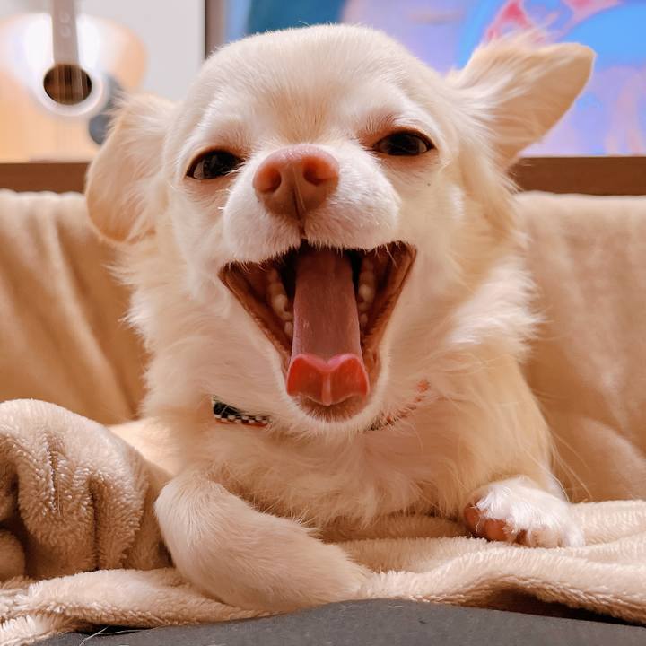 9a82aeb6 18c5 4bbf b4a5 35c45b8fc77b 1674103200150