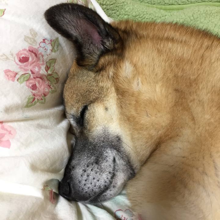 9a82d489 6340 4f1b ad93 00f4703f89dc 1524058640501