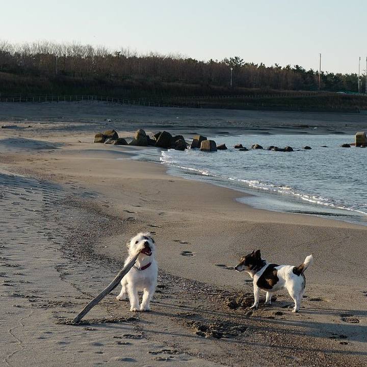 9a82dde4 24a2 4ca5 8769 9e0570bcb70f 1543290076341