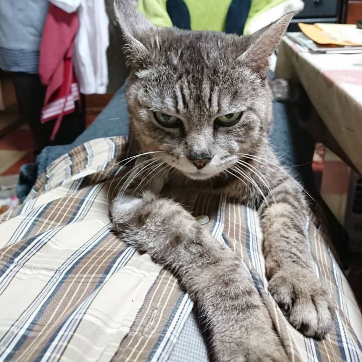 9a82ddef 2bea 4fa8 bdcb abedc623cb0f 1589081695854