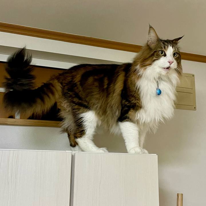 9a8341ed 8c38 4263 98f2 edc2cd03ff21 1706469800854